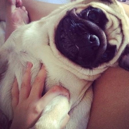 Валерия Глебович