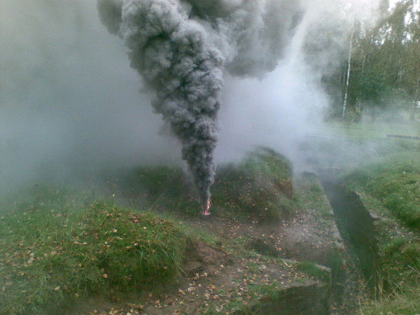 Михаил Швецов