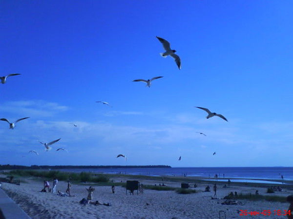 Наталья Пестова