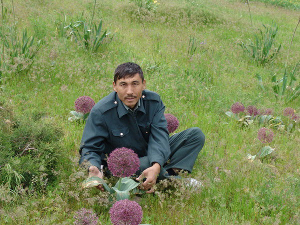 Сихымбаев Амирбек