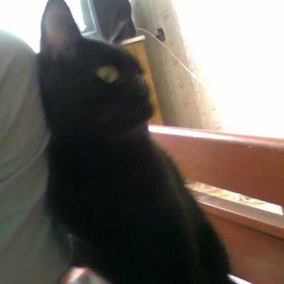 Алексей Командир