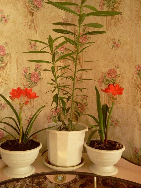 Татьяна Гаранина