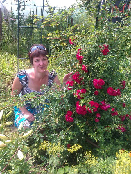 Светлана *********