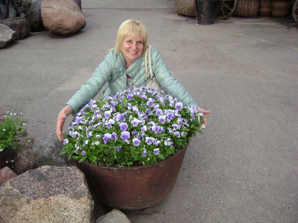 Елена Кулибаба