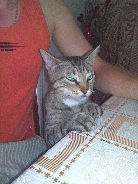 Хетаг Токов