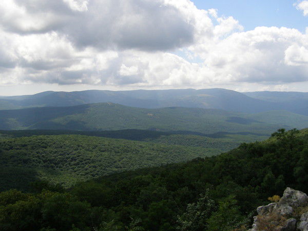 Елена Стукало