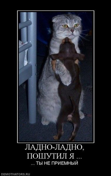 Антон Матков