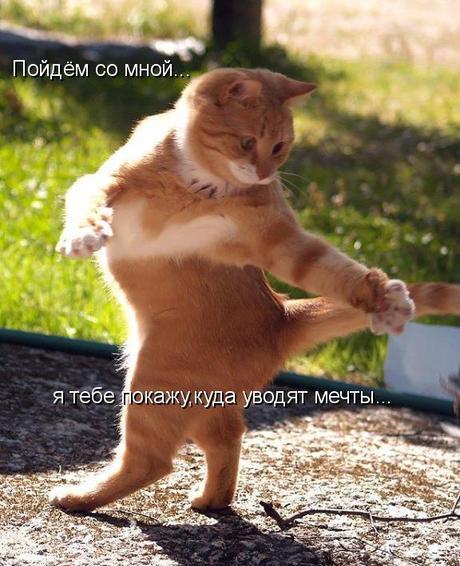 Анна Войтешко