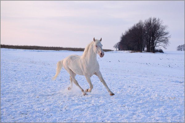 Екатерина Орлова