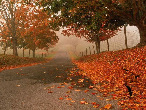 Оксана Казанцева