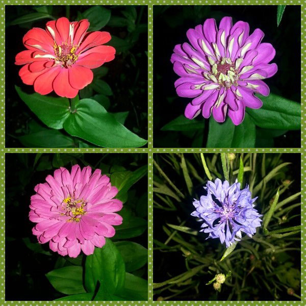 Антонина Бурданова