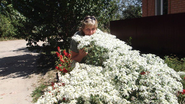 Светлана ..........