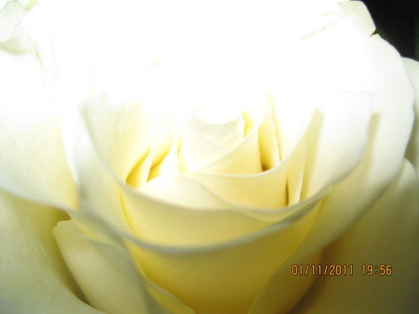 Алсу Исмагилова