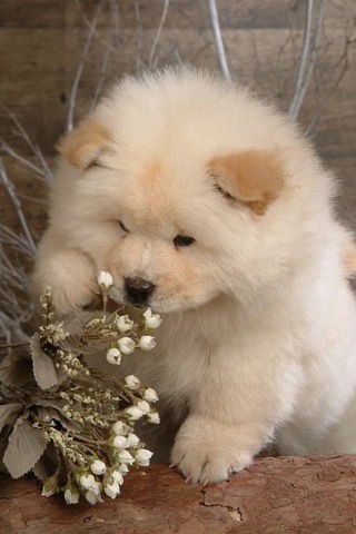 Даметкен Жаканова