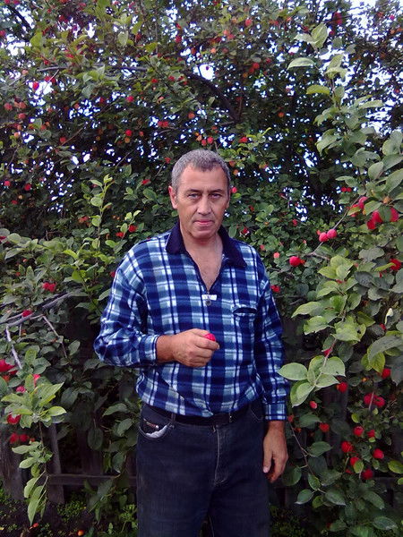 Юрий Семенов