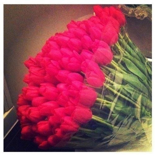 Айгуль Ибрашева