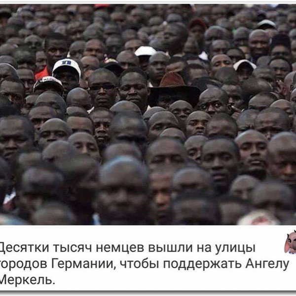Александр Хохол