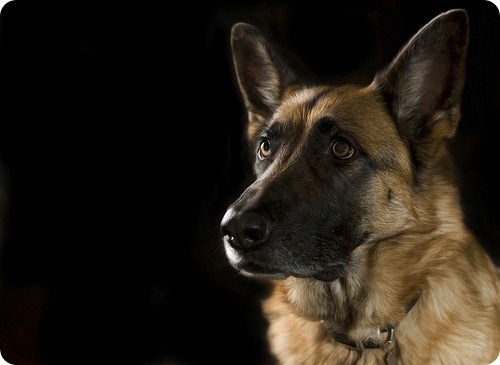 Павел Русаков