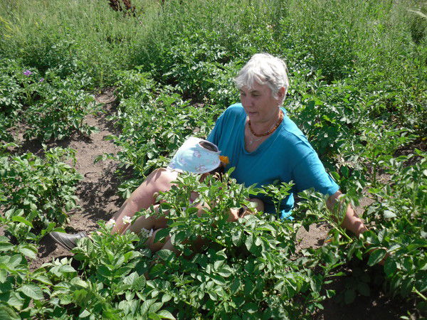 Людмила Рябухина