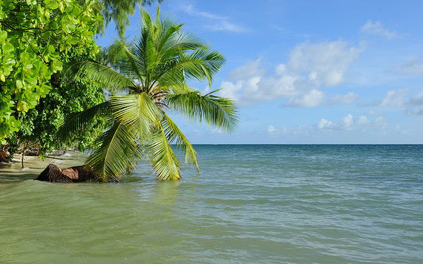 Елена Бузмакова