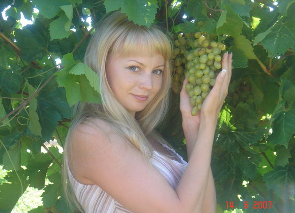 Елена Дашкина