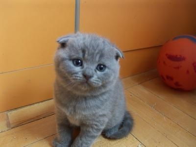 Ирина Дементьева