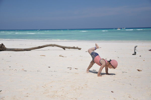 Елена Лайша