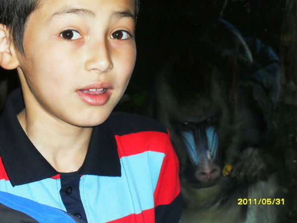 Бейбарыс Имашхан