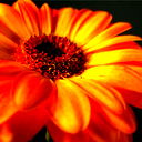 Наталия Рябинина