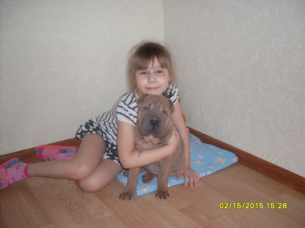 Виктор Краснов