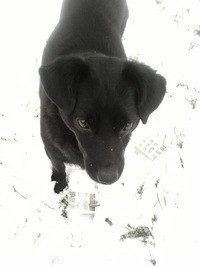 Оксана Ермакова