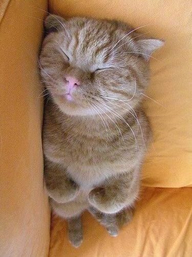 Рано Клычева