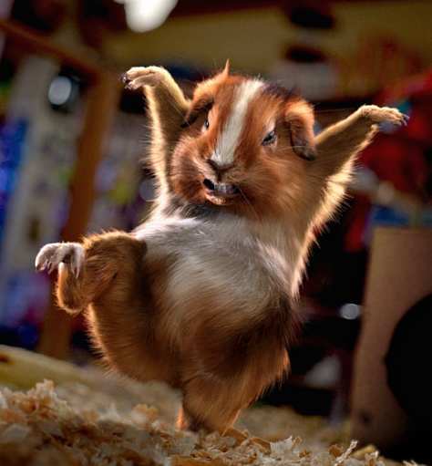 Юрий Овчаренко