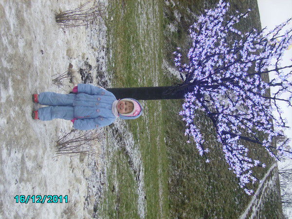 Сергей Мокеев