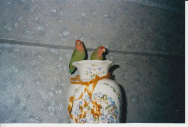 Татьяна Ольшевская