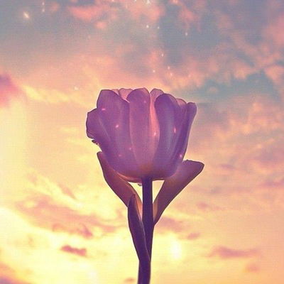 Тогжан Куланшиева