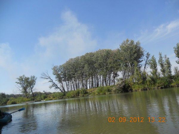 Настёна Алексеева