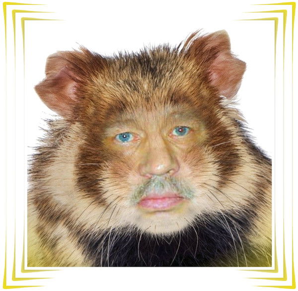 Виталий Исаев