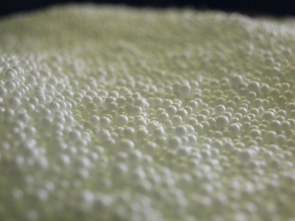 Евгений Циглер