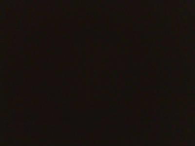 Леонид Леонид