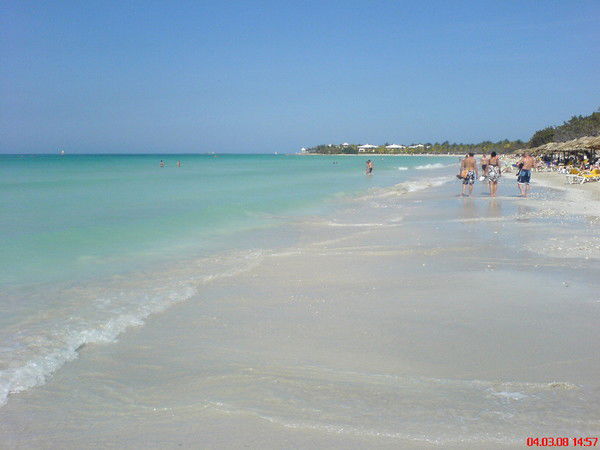 Ольга Кашина