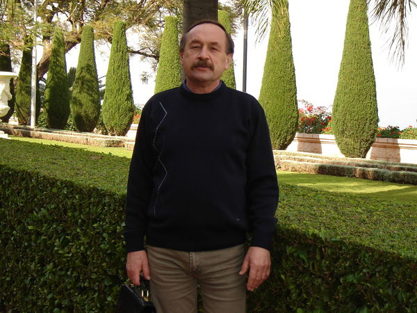 Владимир Попсулин