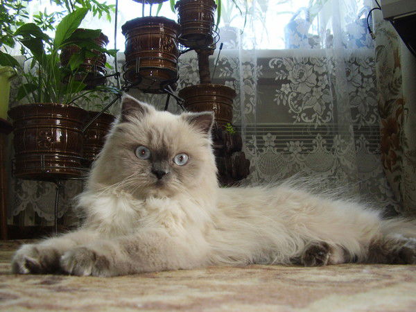 Нина Птицына