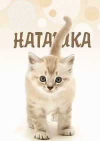 Наташа Красичук