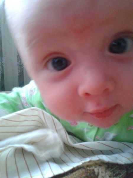 Евгений Виноградов