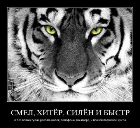 Дмитрий Свенторжицкий