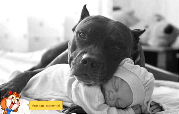 Сергей Даньшин