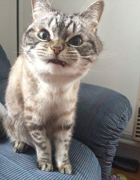 Анастасия Пожиганова