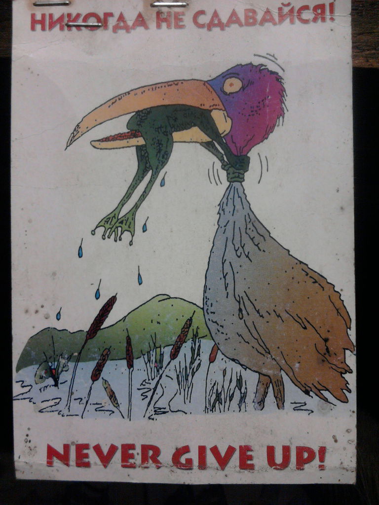 Наталья Несмелова