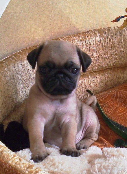 Любовь Рамзова